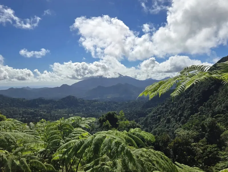 WNT Segment 9 Dominica – Tough Jungle To Colihaut | Remote Dominica